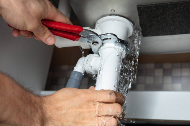 Best Flooded house restoration  in Logan, NM