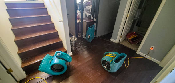 Best Ceiling water damage repair  in Logan, NM