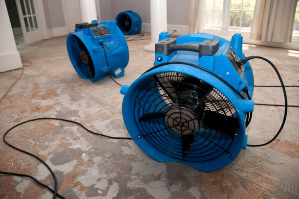 Best Water damage contractors near me  in Logan, NM