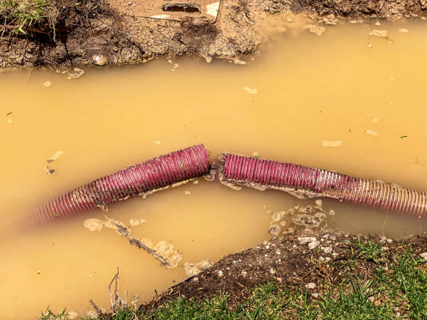 Best Mold removal after water damage  in Logan, NM